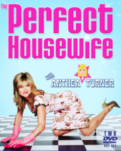 the perfect housewife