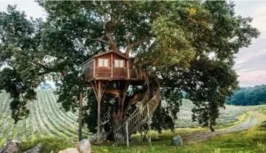 casa sull'albero 2020