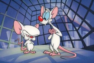 Mignolo e Prof